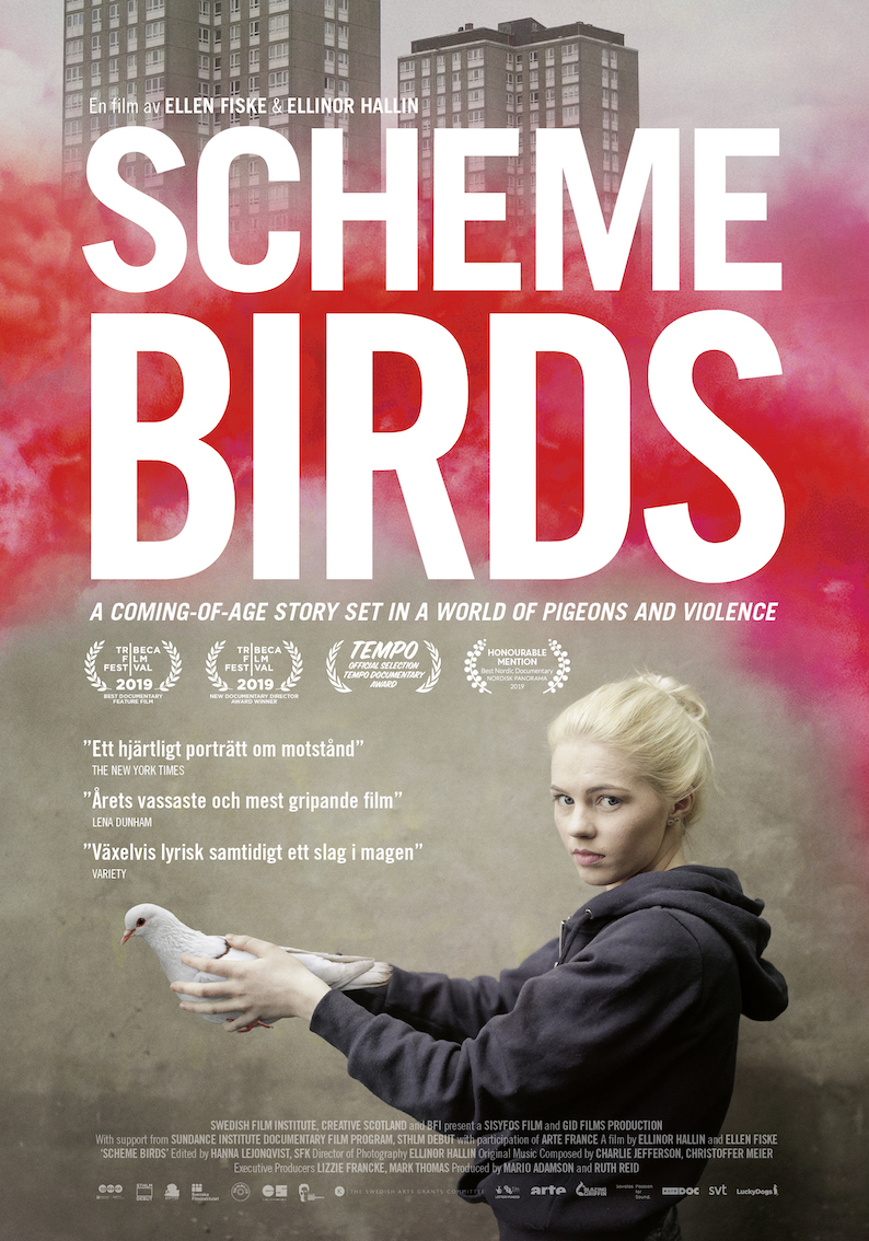 Omslag till filmen: Scheme Birds